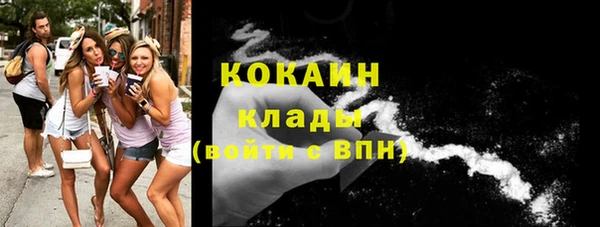 дживик Балахна
