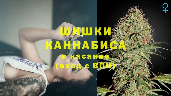 дживик Балахна