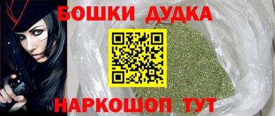 индика Кинель