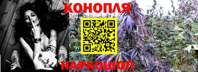 индика Кинель