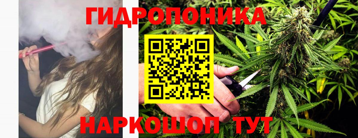 Марихуана SATIVA & INDICA Можга